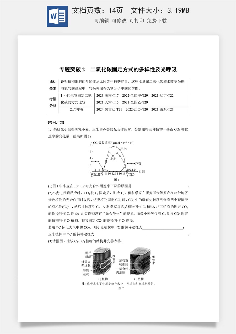 高中-高考总复习-生物-第三单元　专题突破2　二氧化碳固定方式的多样性及光呼吸.docx